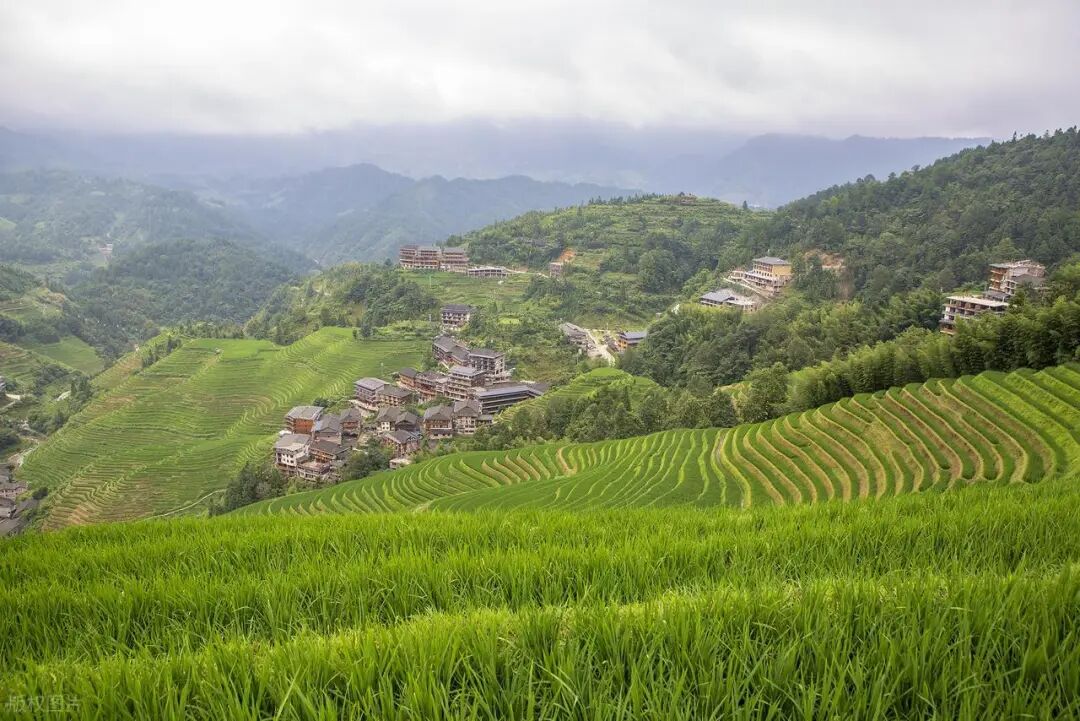 龙脊梯田